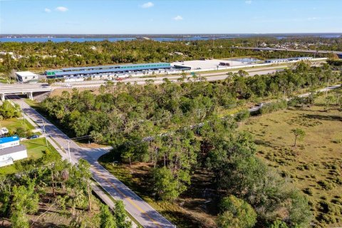 Land in Punta Gorda, Florida № 1067245 - photo 17