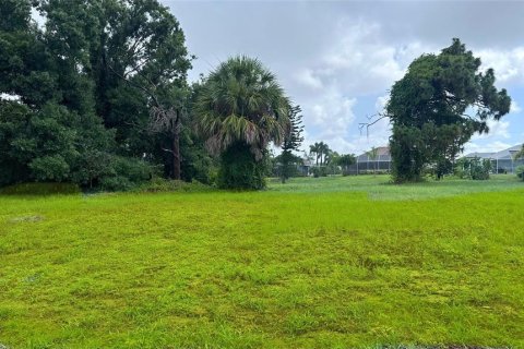 Terreno en venta en Rotonda, Florida № 1250491 - foto 8