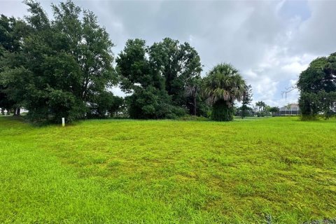 Land in Rotonda, Florida № 1250491 - photo 7