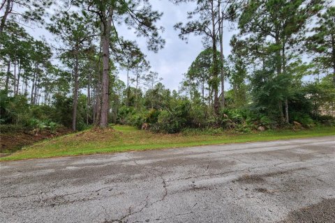 Terreno en venta en Palm Coast, Florida № 1383738 - foto 3