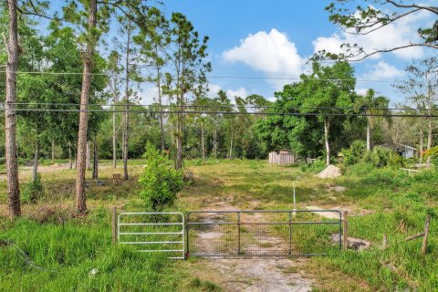 Terrain à vendre à Loxahatchee Groves, Floride № 1056953 - photo 26