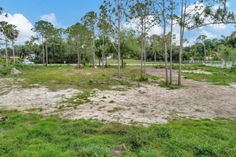 Terrain à vendre à Loxahatchee Groves, Floride № 1056953 - photo 5