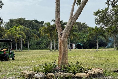 Land in Okeechobee, Florida № 1075757 - photo 1