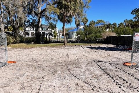 Terrain à vendre à Tampa, Floride № 1025103 - photo 4