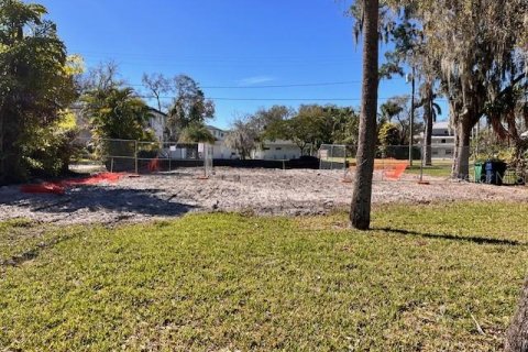 Terrain à vendre à Tampa, Floride № 1025103 - photo 2