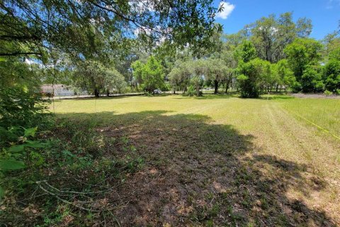 Terreno en venta en Tampa, Florida № 1299306 - foto 7