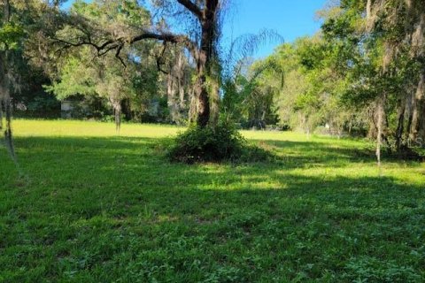 Terreno en venta en Tampa, Florida № 1299306 - foto 2