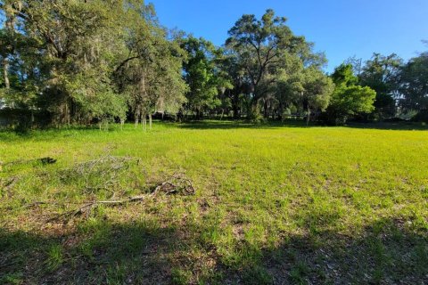 Land in Tampa, Florida № 1299306 - photo 11