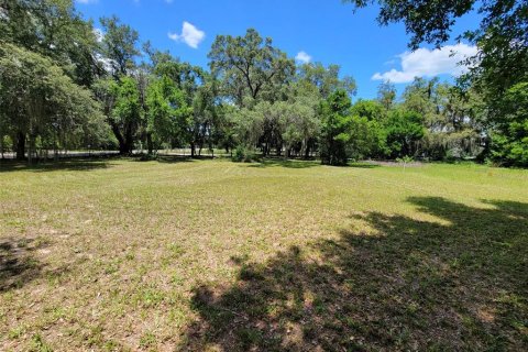 Land in Tampa, Florida № 1299306 - photo 1