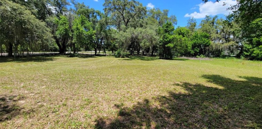 Terreno en Tampa, Florida № 1299306