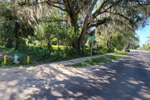 Terreno en venta en Tampa, Florida № 1299306 - foto 13