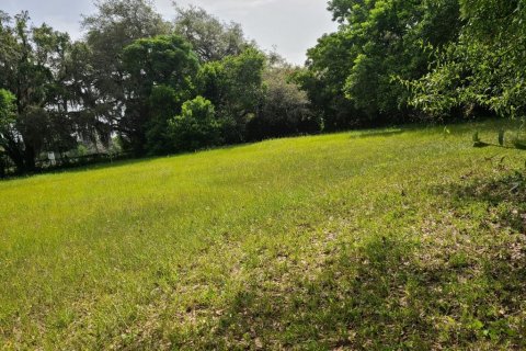 Terreno en venta en Tampa, Florida № 1299306 - foto 3