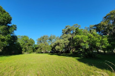 Land in Tampa, Florida № 1299306 - photo 10