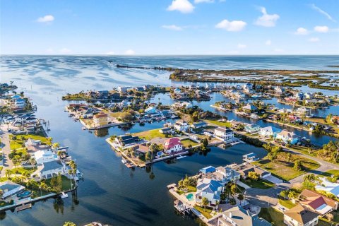 Land in Hernando Beach, Florida № 1299309 - photo 2