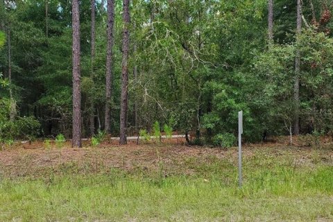 Land in Ocala, Florida № 1340797 - photo 2