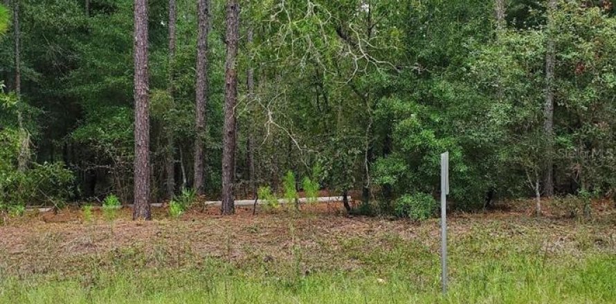 Land in Ocala, Florida № 1340797