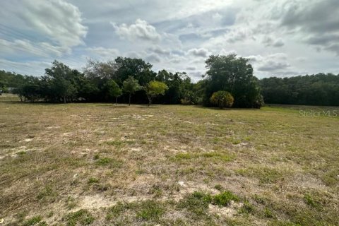 Propiedad comercial en venta en New Port Richey, Florida № 1256438 - foto 1