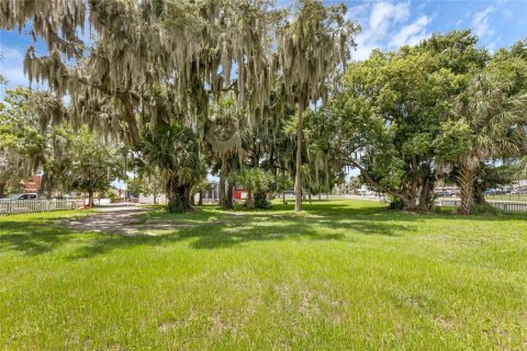 Terrain à vendre à Tavares, Floride № 1295469 - photo 7