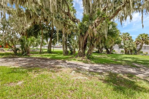 Terreno en venta en Tavares, Florida № 1295469 - foto 5