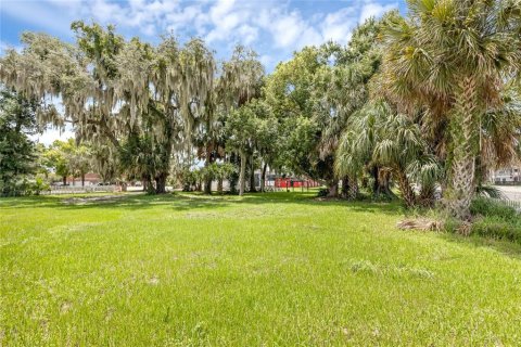 Terreno en venta en Tavares, Florida № 1295469 - foto 8