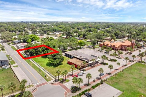 Terreno en venta en Tavares, Florida № 1295469 - foto 1