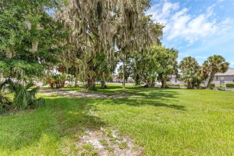 Terrain à vendre à Tavares, Floride № 1295469 - photo 6