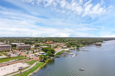 Land in Tavares, Florida № 1295469 - photo 27