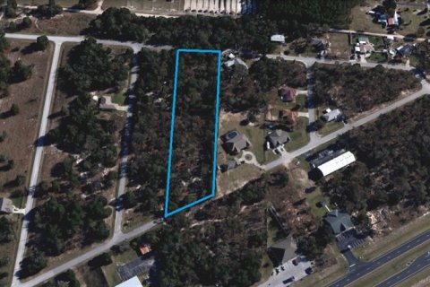 Terreno en venta en Summerfield, Florida № 1380928 - foto 9