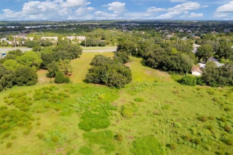 Land in Parrish, Florida № 1380924 - photo 13