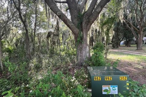 Terreno en venta en Groveland, Florida № 1380811 - foto 1