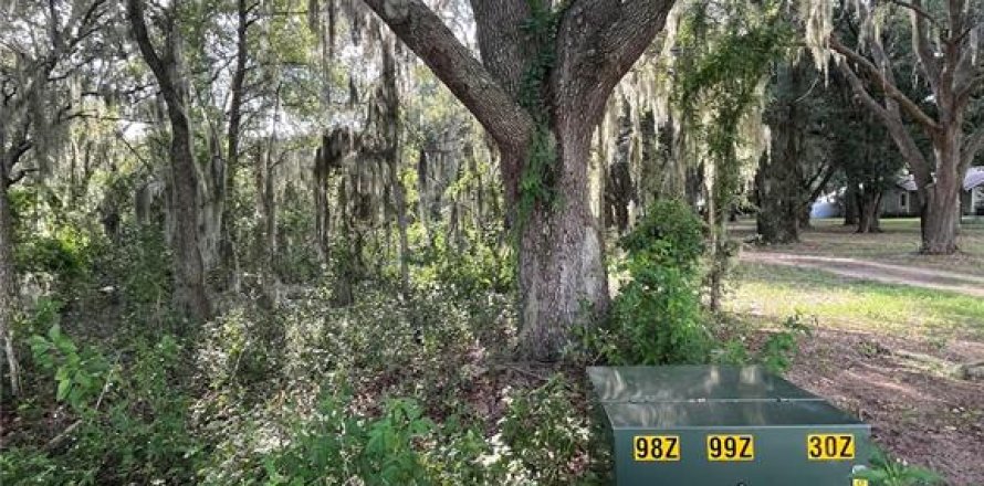 Terreno en Groveland, Florida № 1380811