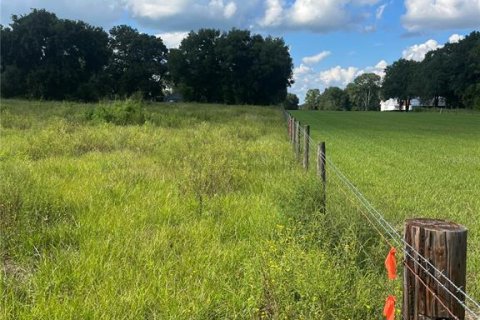 Land in Groveland, Florida № 1380811 - photo 6