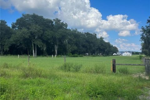 Terrain à vendre à Groveland, Floride № 1380811 - photo 4