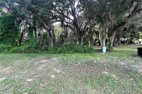 Terreno en venta en Groveland, Florida № 1380811 - foto 3