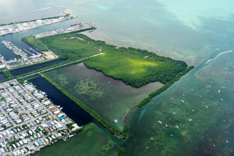 Terrain à vendre à Key West, Floride № 1036179 - photo 8