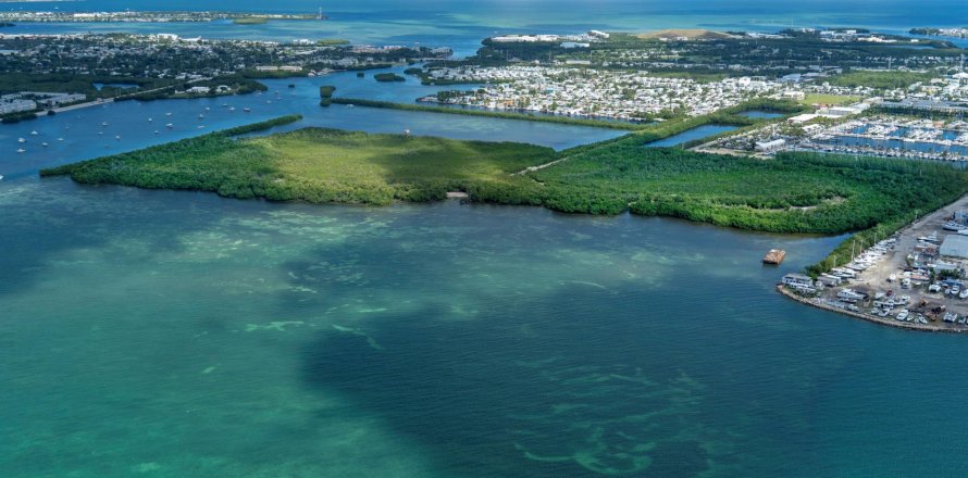 Land in Key West, Florida № 1036179
