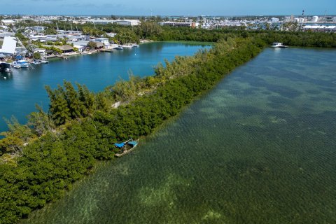 Terreno en venta en Key West, Florida № 1036179 - foto 4