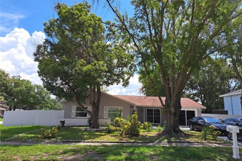 Villa ou maison à vendre à Tampa, Floride: 5 chambres, 146.41 m2 № 1337921 - photo 1