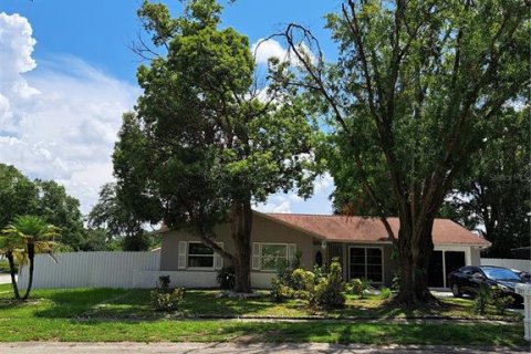 Villa ou maison à vendre à Tampa, Floride: 5 chambres, 146.41 m2 № 1337921 - photo 2