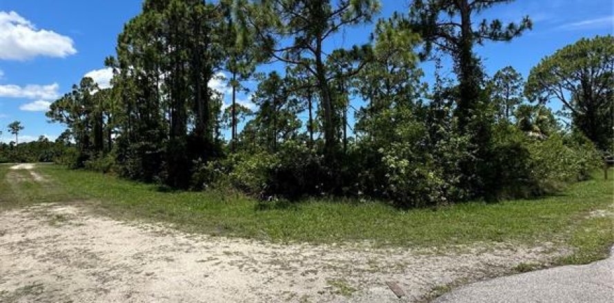 Land in Punta Gorda, Florida № 1337979