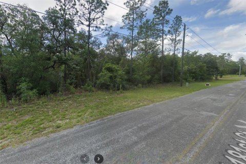 Land in Dunnellon, Florida № 1337928 - photo 1