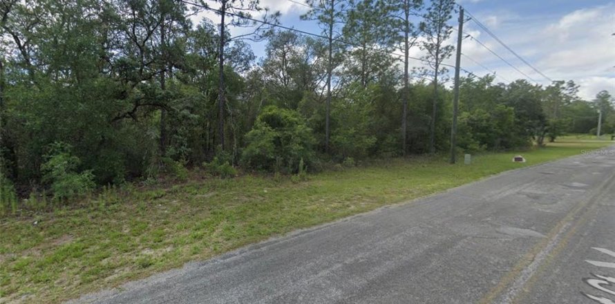 Land in Dunnellon, Florida № 1337928