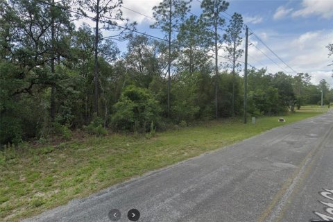 Land in Dunnellon, Florida № 1337928 - photo 4