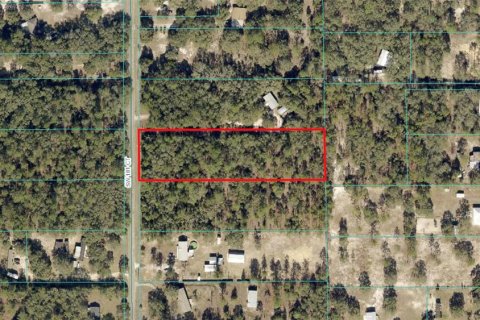 Terreno en venta en Dunnellon, Florida № 1337928 - foto 2