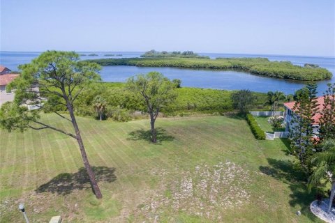 Land in Tarpon Springs, Florida № 1374422 - photo 15