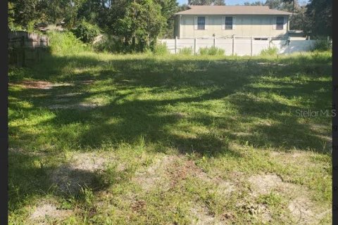 Land in Tampa, Florida № 1377907 - photo 1