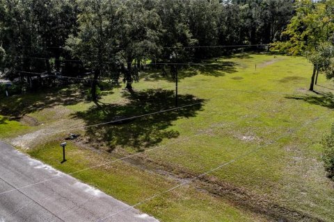 Terreno en venta en Gainesville, Florida № 1357484 - foto 7