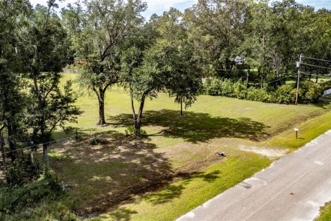 Terreno en venta en Gainesville, Florida № 1357484 - foto 15