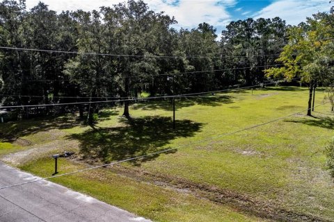 Terrain à vendre à Gainesville, Floride № 1357484 - photo 8