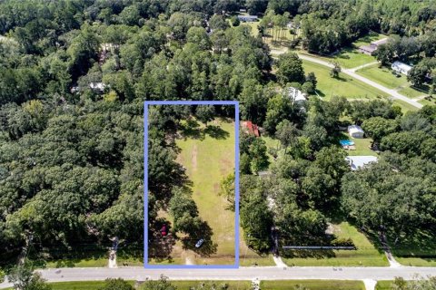 Terreno en venta en Gainesville, Florida № 1357484 - foto 1